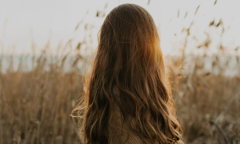 Back of woman's head in a field - long hair