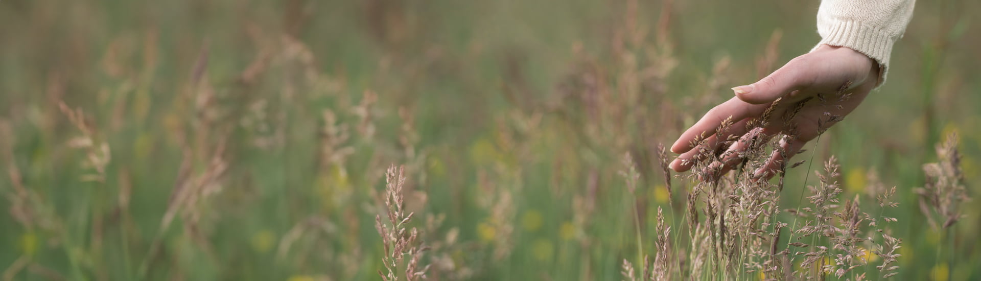 banner of gentle grass for fragrance free moisturiser category