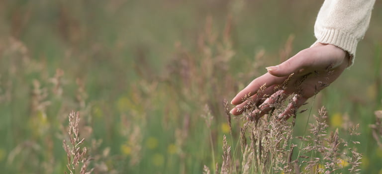 banner of gentle grass for fragrance free moisturiser category