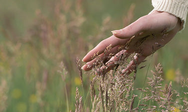 banner for rosacea skin care category with woman's hand gently touching grass